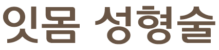 잇몸 성형술