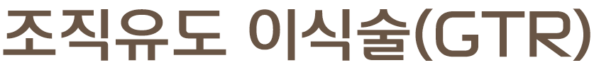 조직유도 이식술