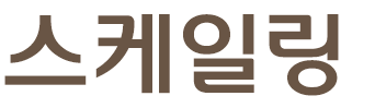 스케일링