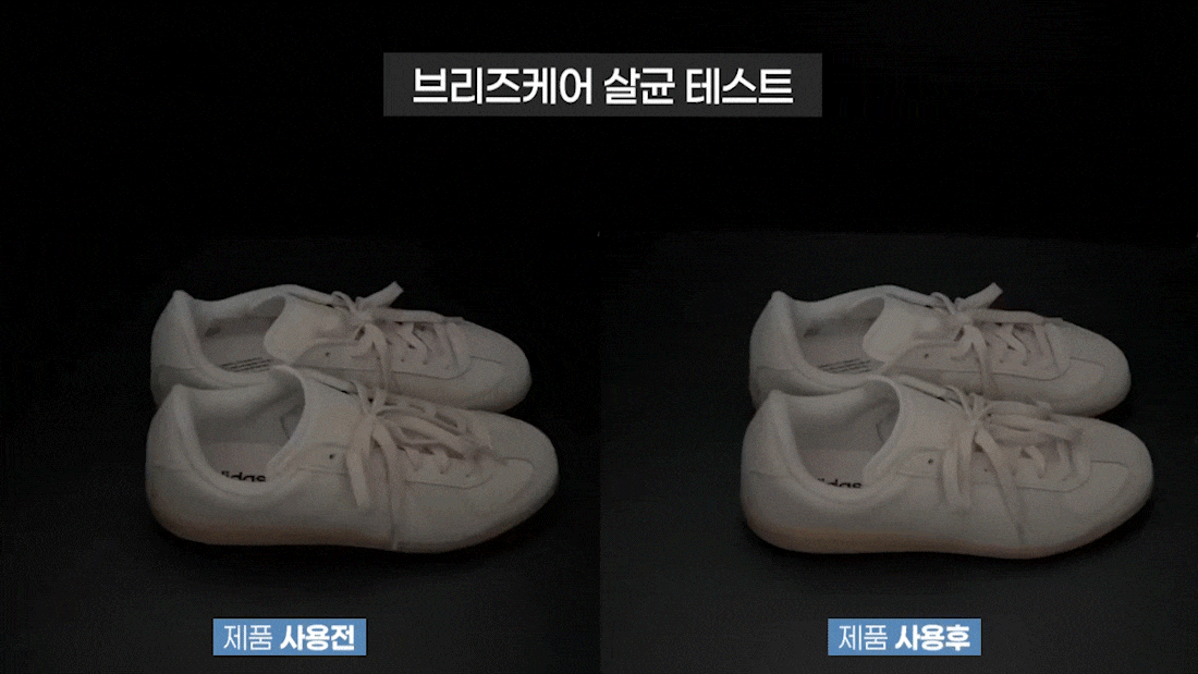 [장마특가OPEN] 본앤메이드 신발청정가전 브리즈케어 P300Pro 신발건조기 풀패키지