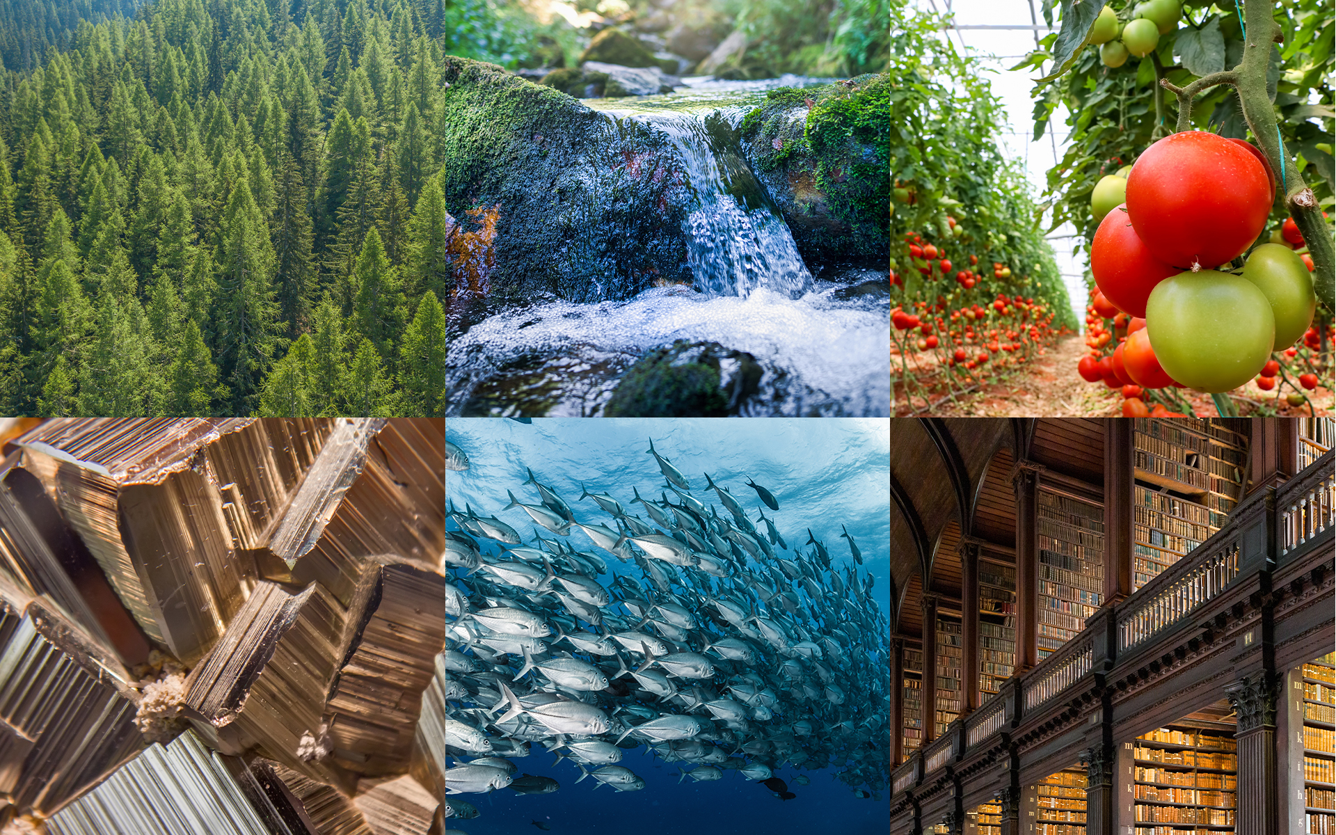 자연자본 (Natural Capital) : KSVA news