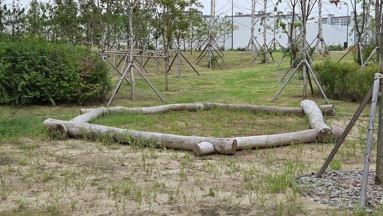 1317b867f5780.png