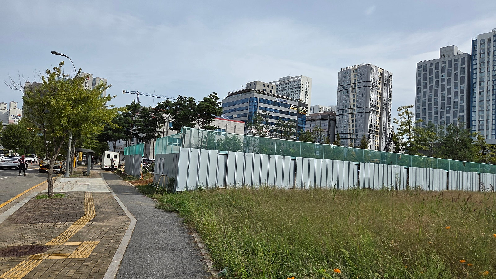 1c59ed1e903ef.png