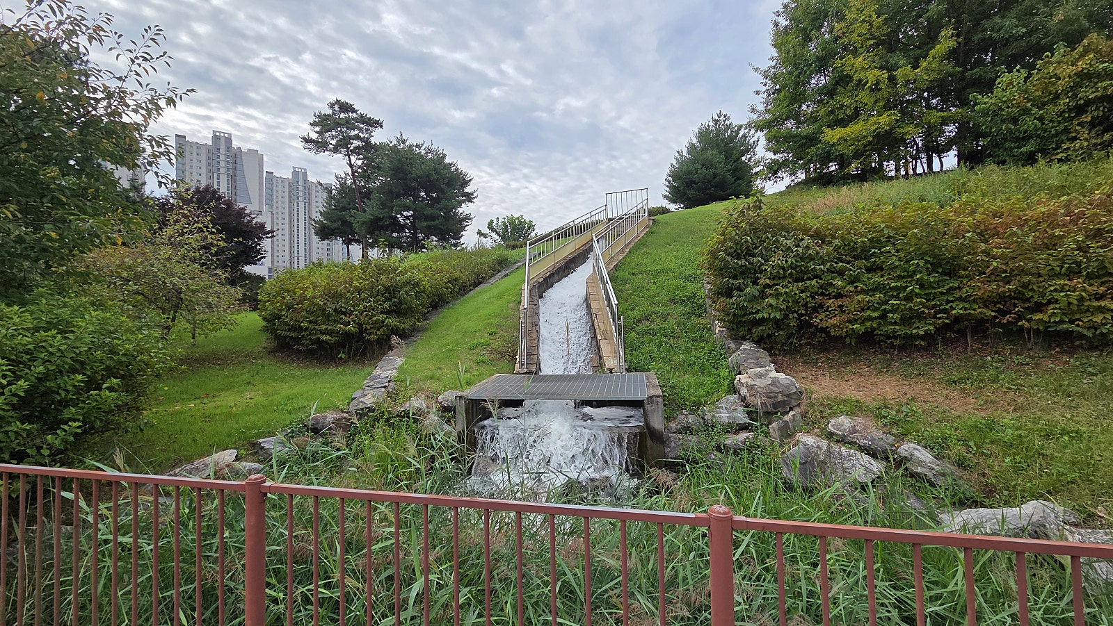 54f4223c26446.png
