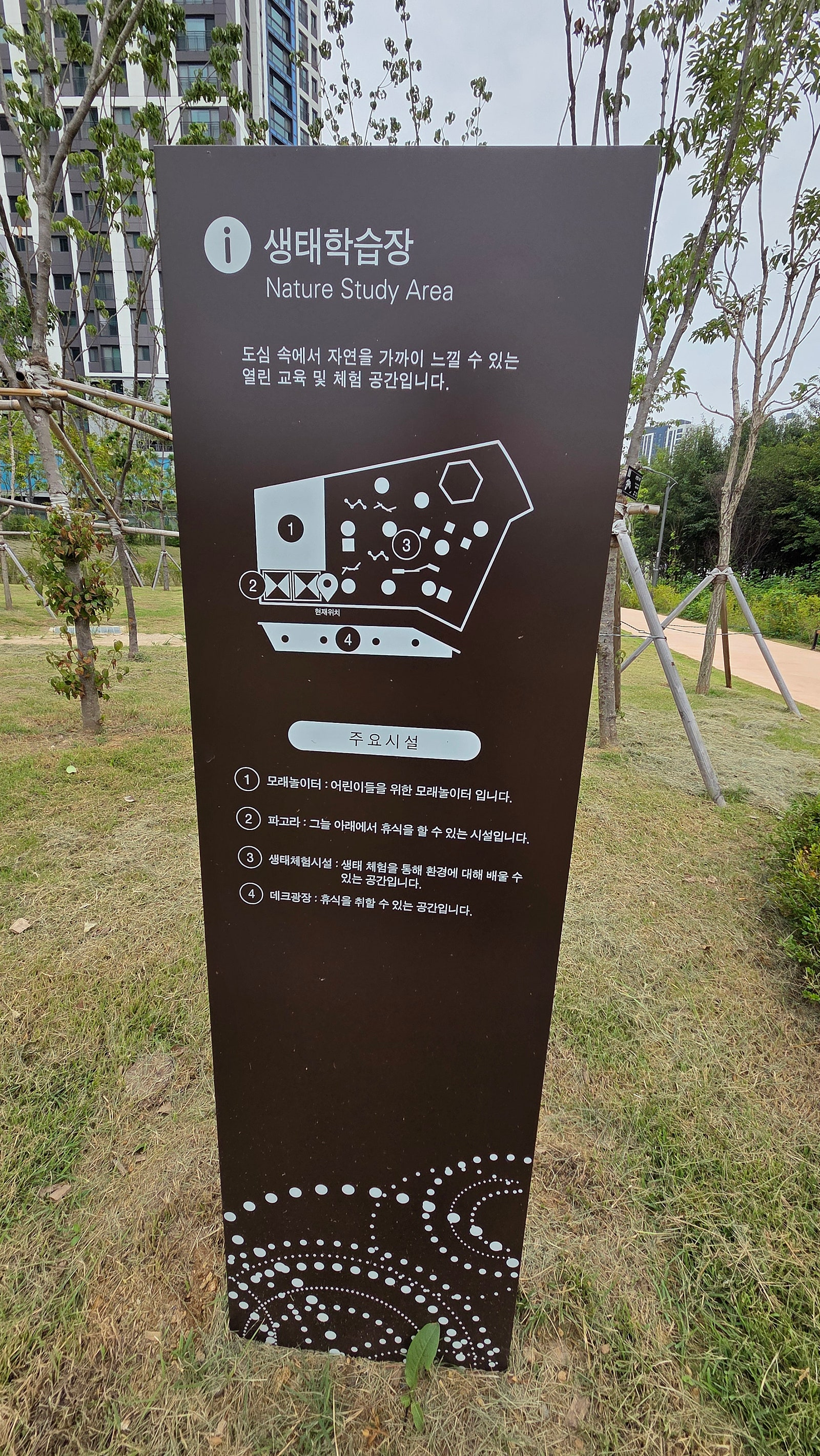 856805be24e26.png
