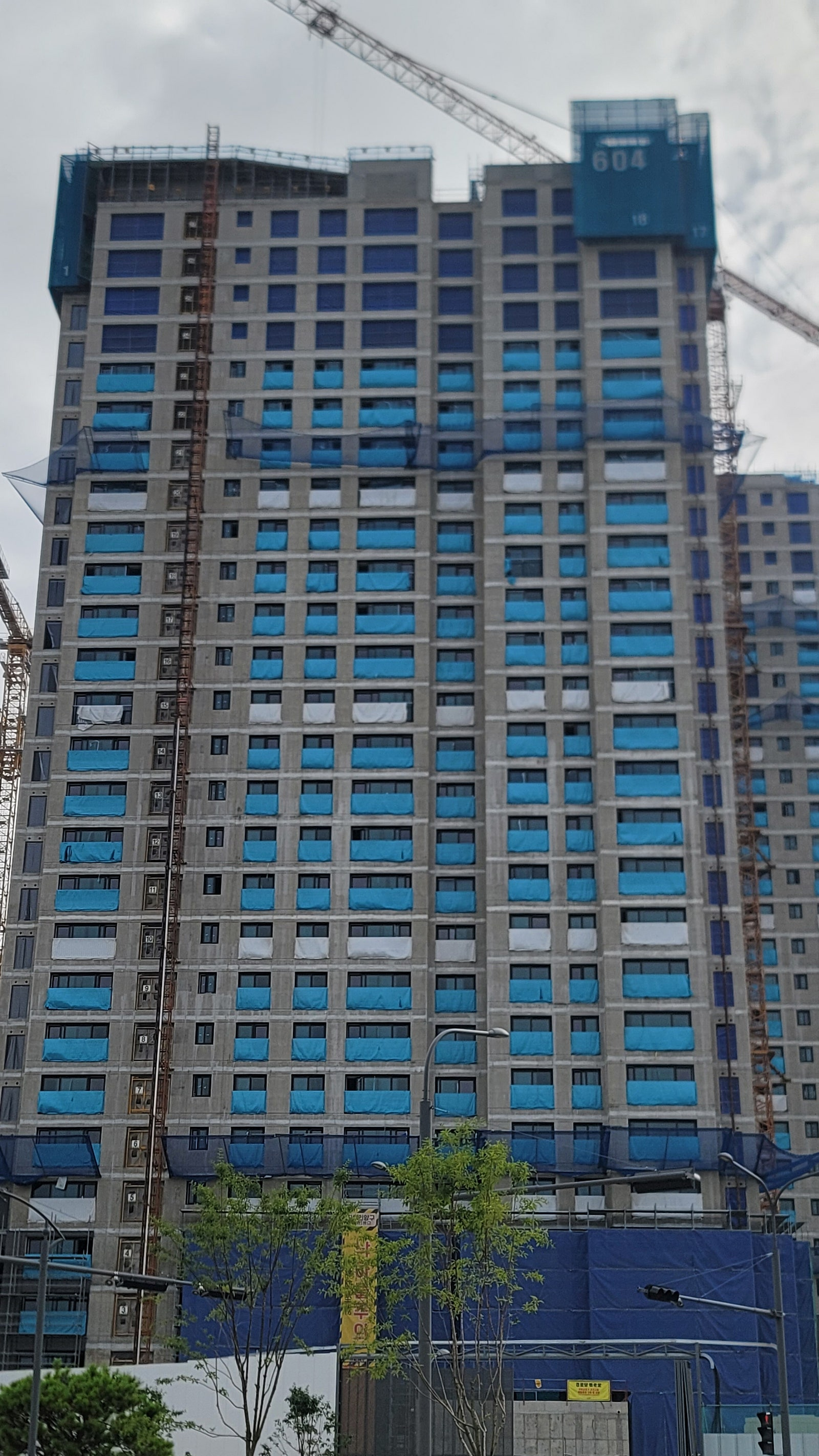 930d9b762b331.png