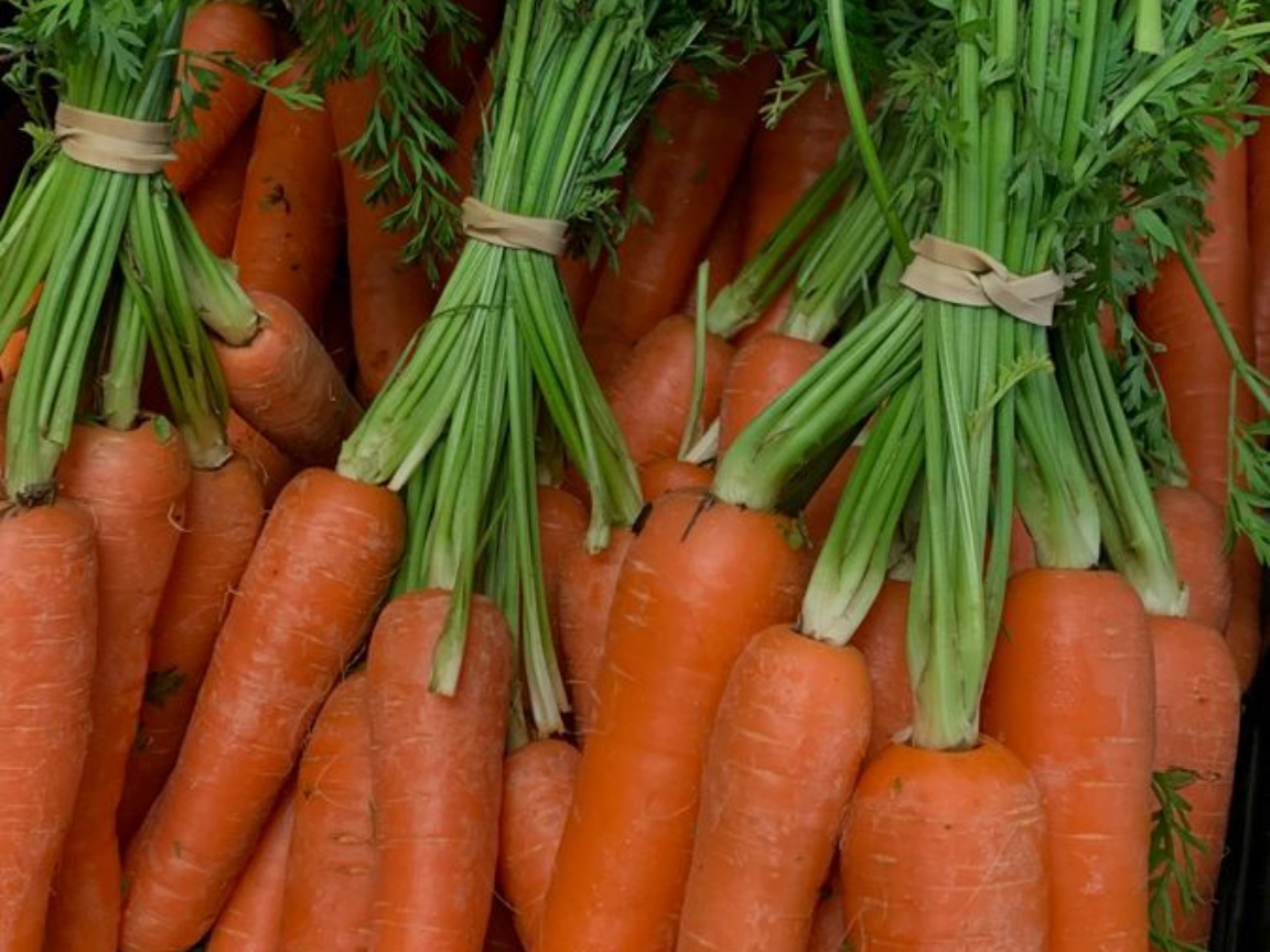carrots_bunches_4x3.png