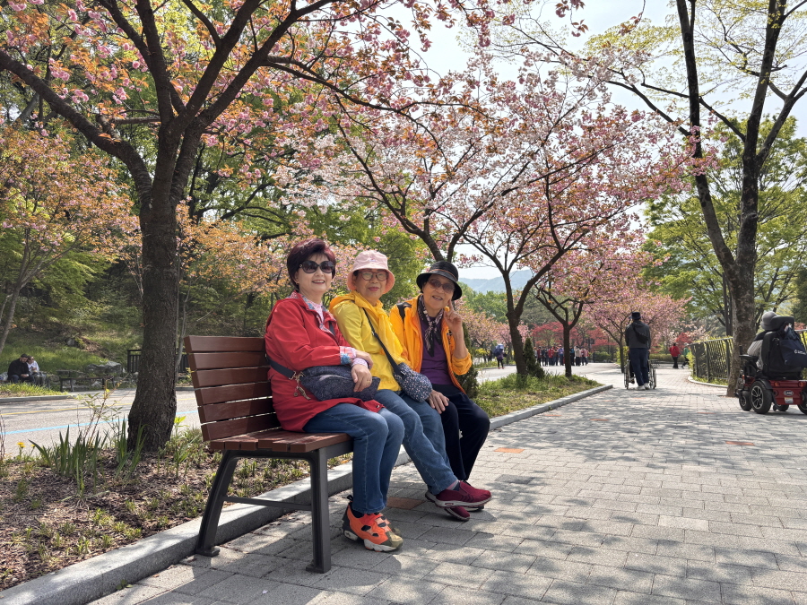 b78b33079f5ac.jpg