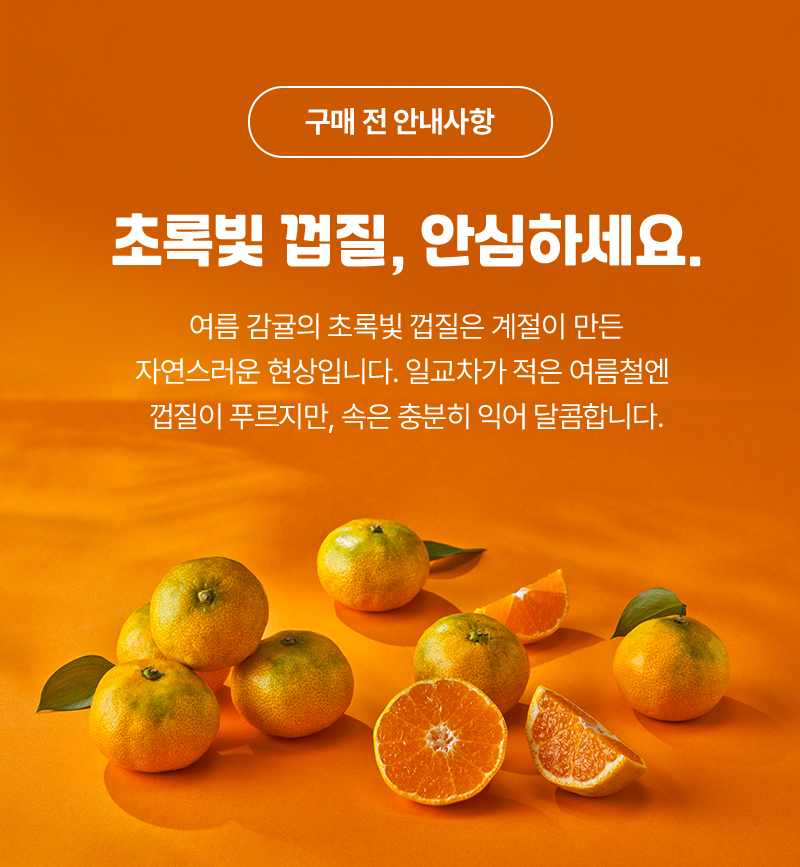 시그니처 감귤 2호 (1.5kg/2단)