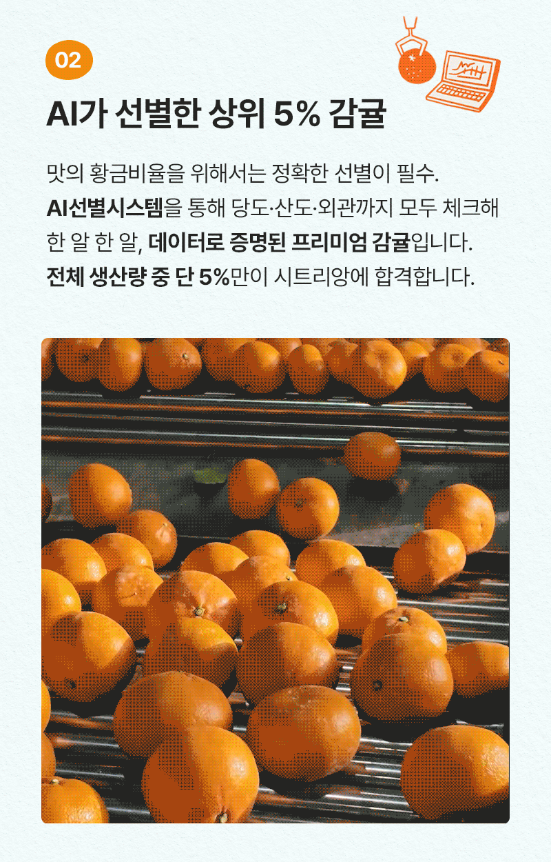 시그니처 카라향 2호 (3kg / 15~23입)