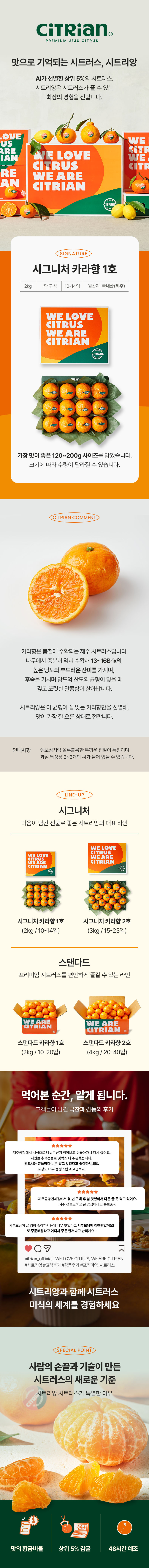 시그니처 카라향 1호 (2kg / 10~14입)