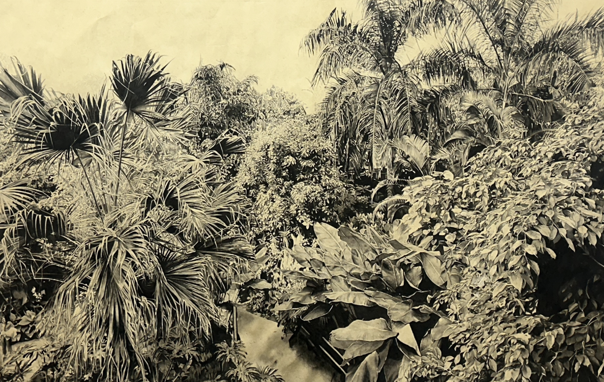 71.5 * 146.7 * 7.4cm / Reels video, color, silent / 2024