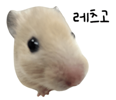 78e083861c993.png