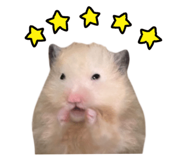 e536b93f949d9.png