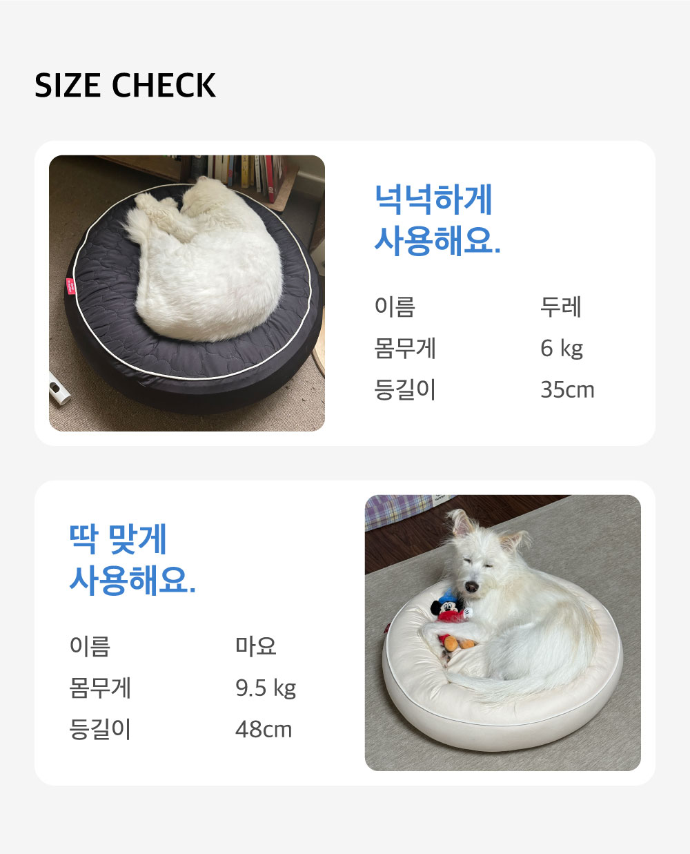 5 in 1 bagel stage cushion