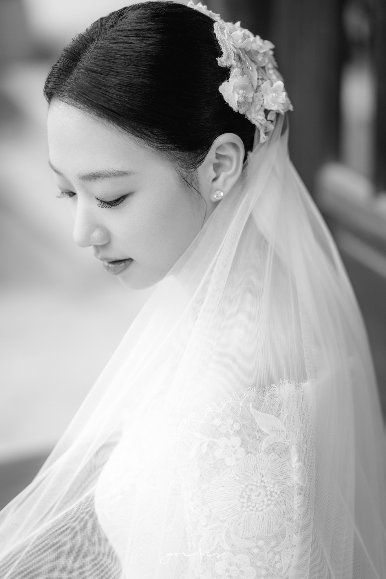3d188803ef25d.jpg