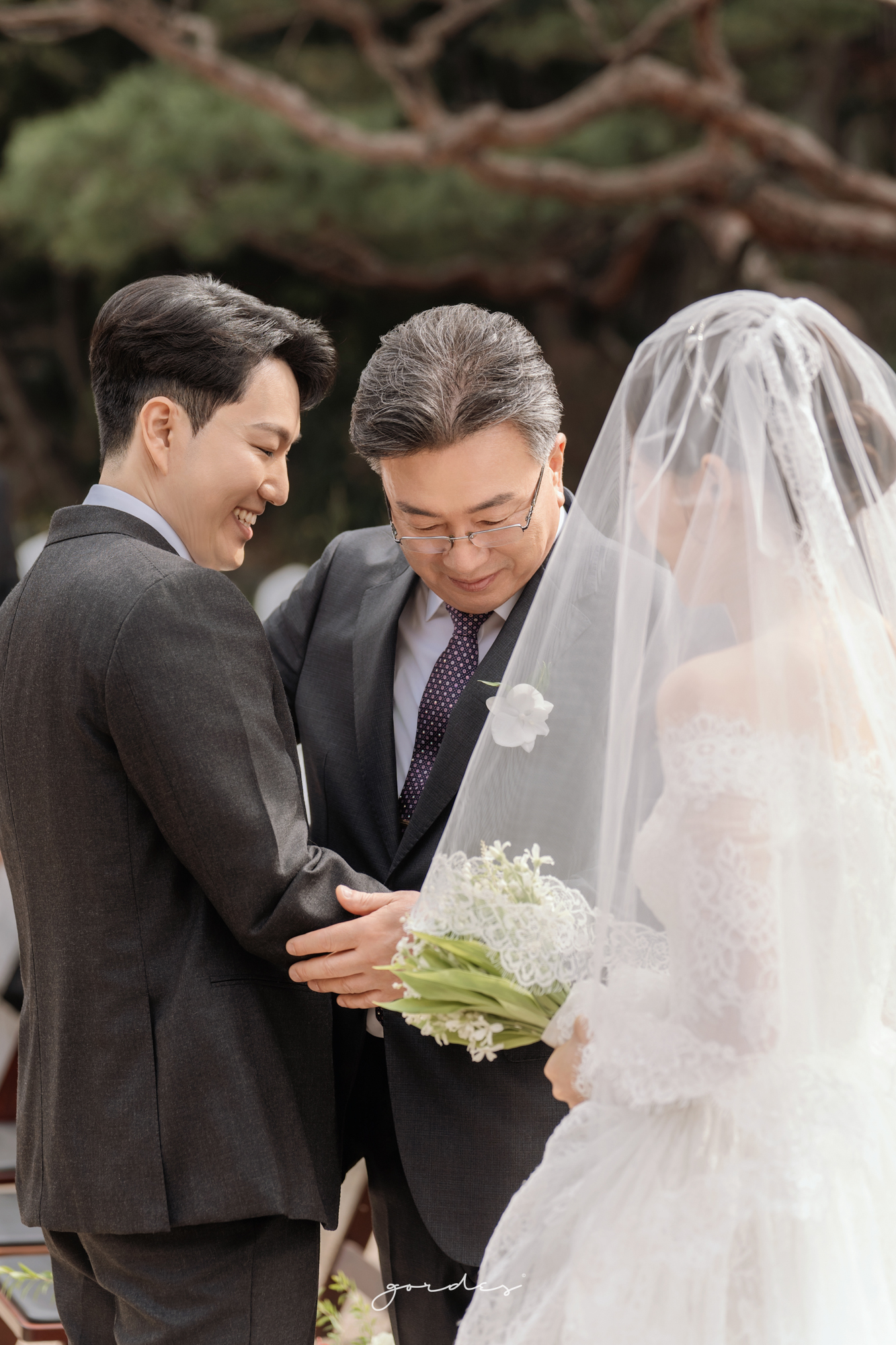 bd241a973520d.jpg