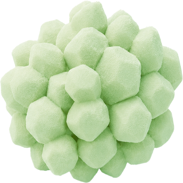 Ingredient 6