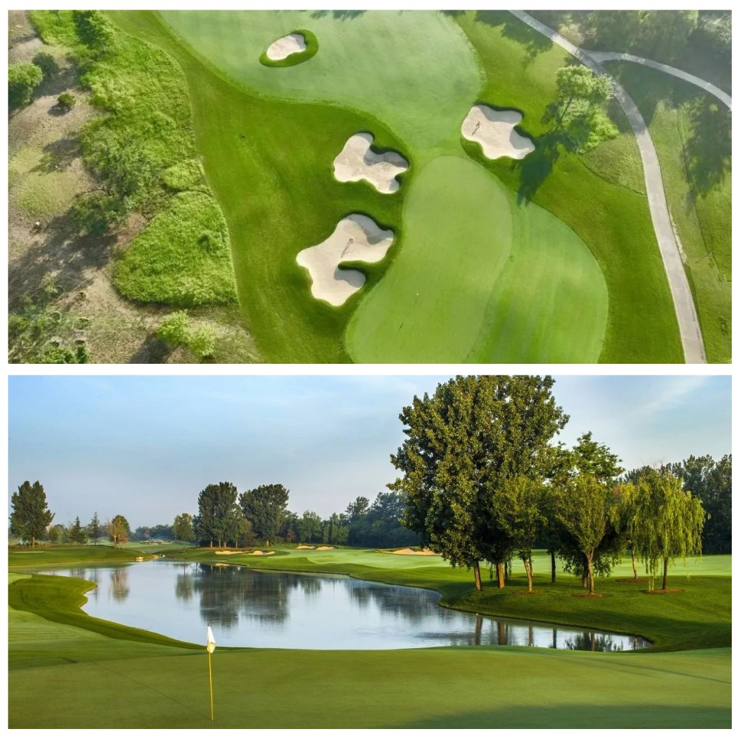 ⛳️중국 천진 VIP 2색골프