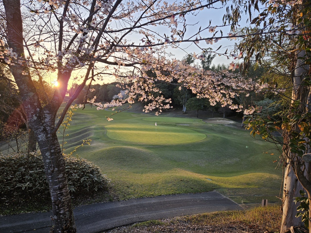 ⛳나리타 시내온천호텔 다색골프 ⛳