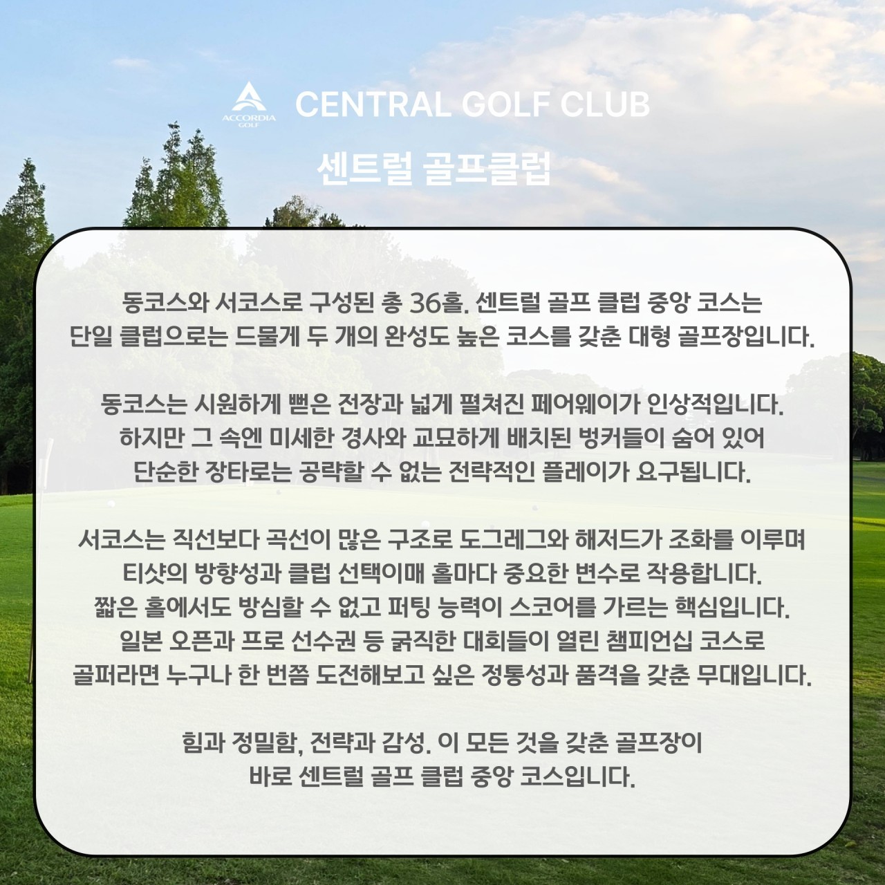 🌸 [8월5회특가]일본 동경 이타코 3색골프🌸