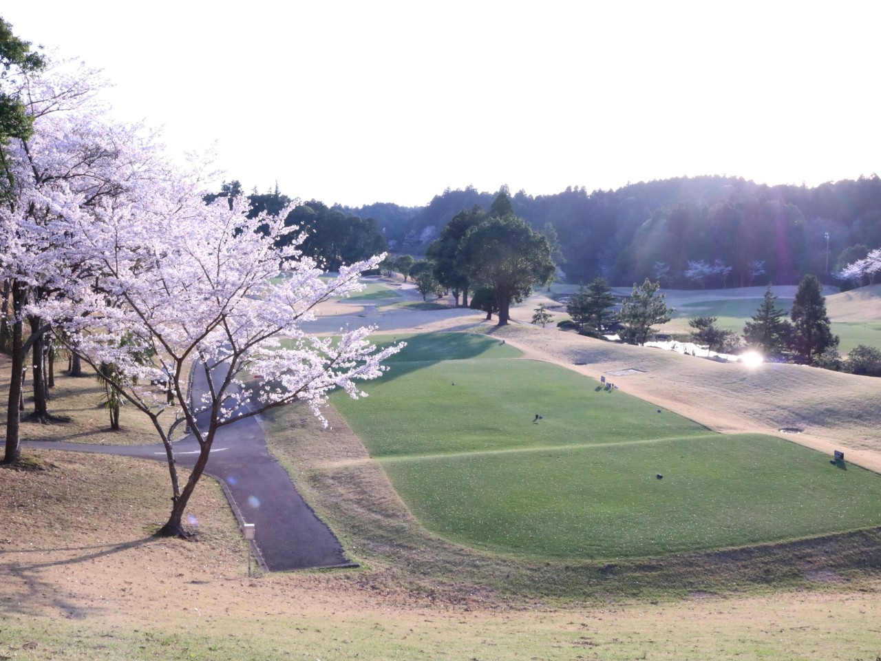 ⛳나리타 시내온천호텔 다색골프 ⛳