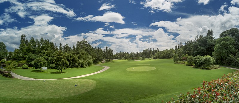 ⛳중국 명문 황산 무제한골프✨