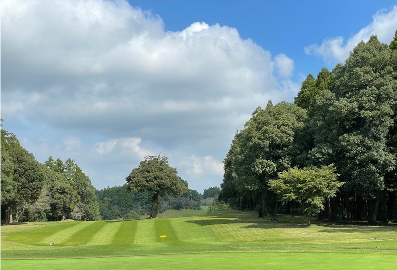 ⛳나리타 시내온천호텔 다색골프 ⛳