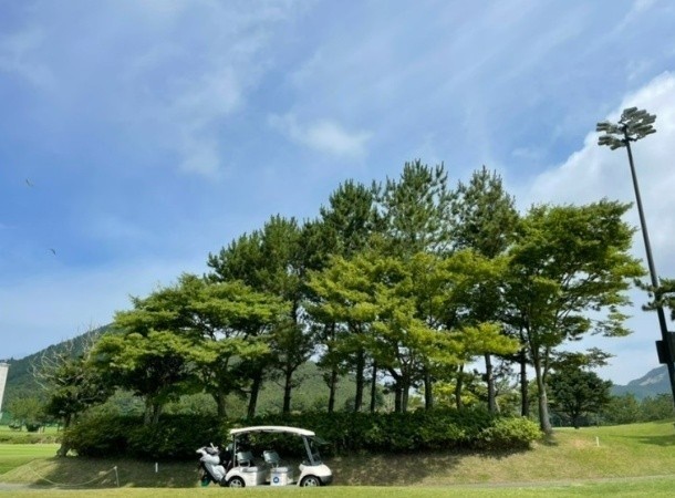 ⛳ 시원한 태안 스톤비치 26년 7~8월 1박 2일 야간 특가