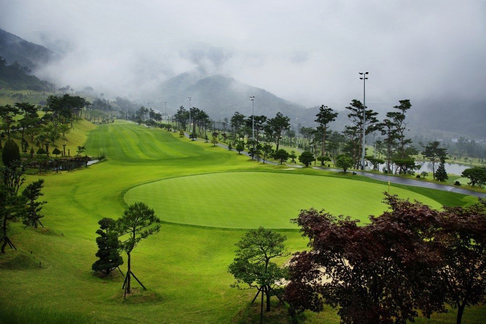 🌿 전남 보성CC 1박2일 36홀 특가 골프패키지 🌿