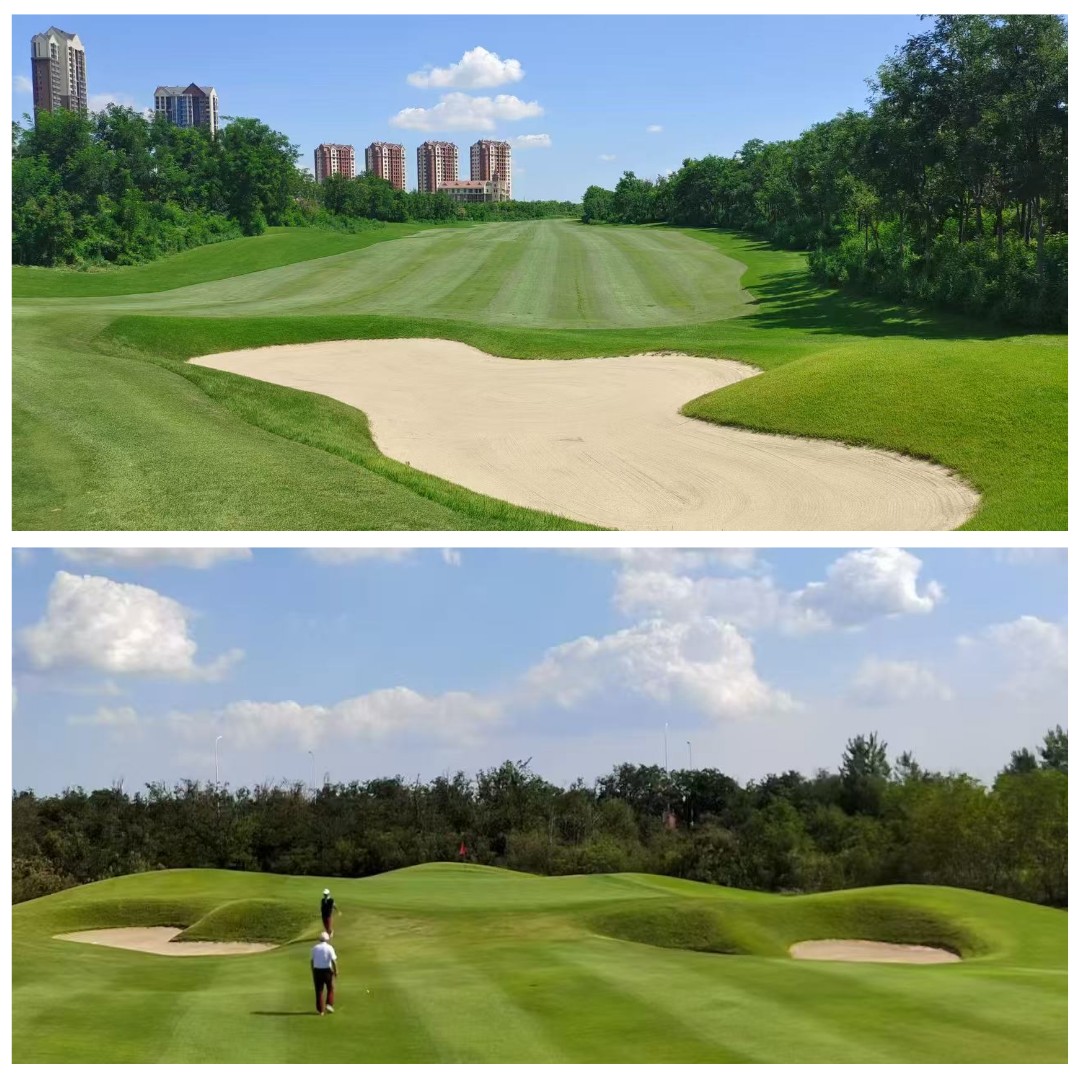 ⛳️중국 천진 VIP 2색골프