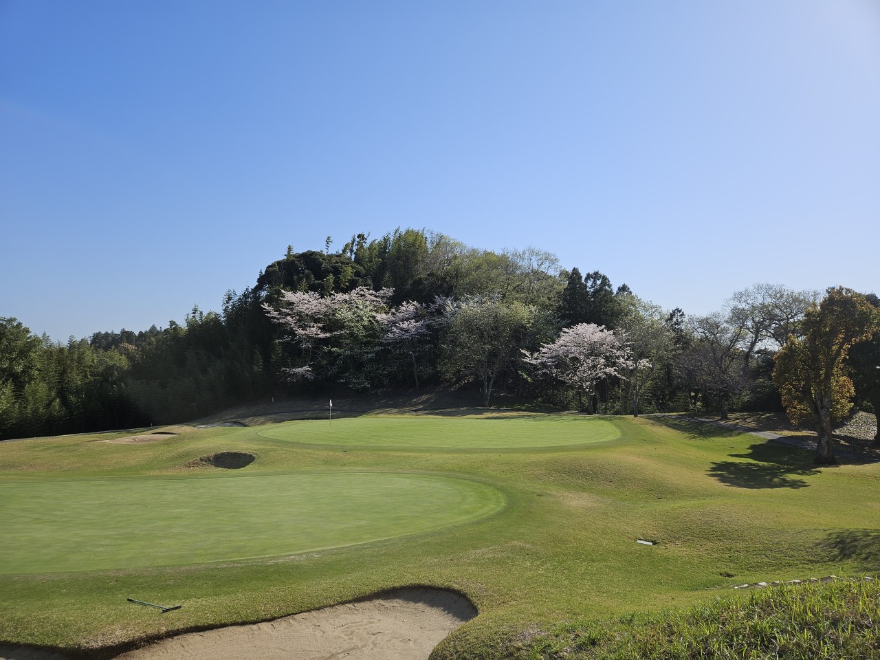 ⛳나리타 시내온천호텔 다색골프 ⛳