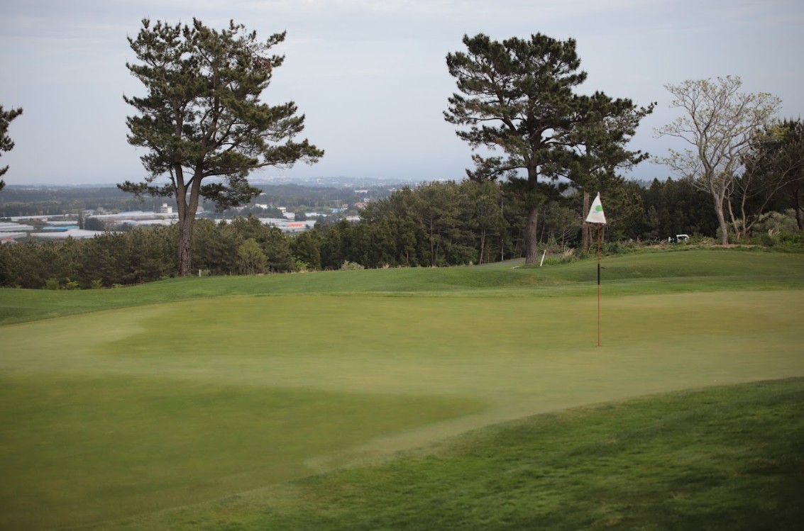 ⛳ 26년 8월 초특가로 떠나는 제주골프 2박3일