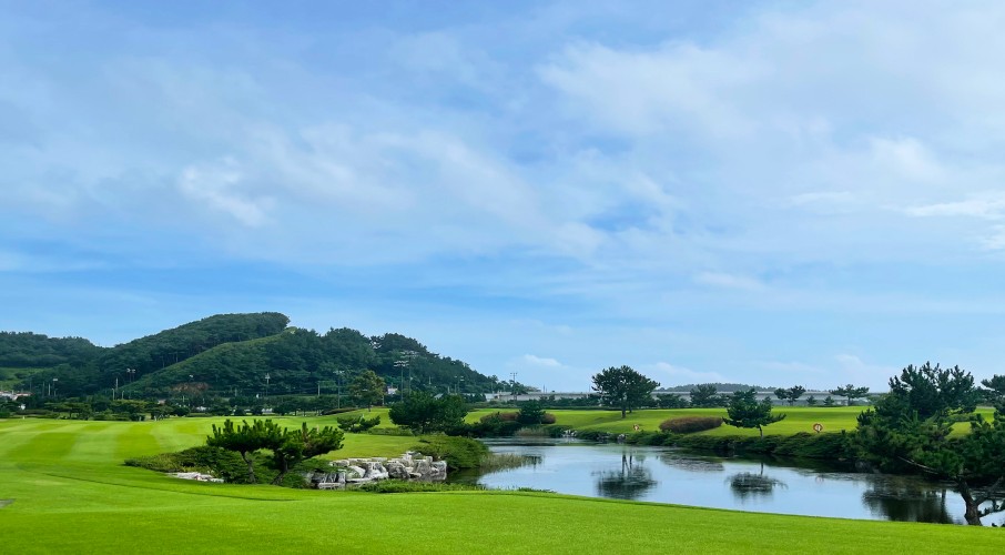 ⛳ 시원한 태안 스톤비치 26년 7~8월 1박 2일 야간 특가