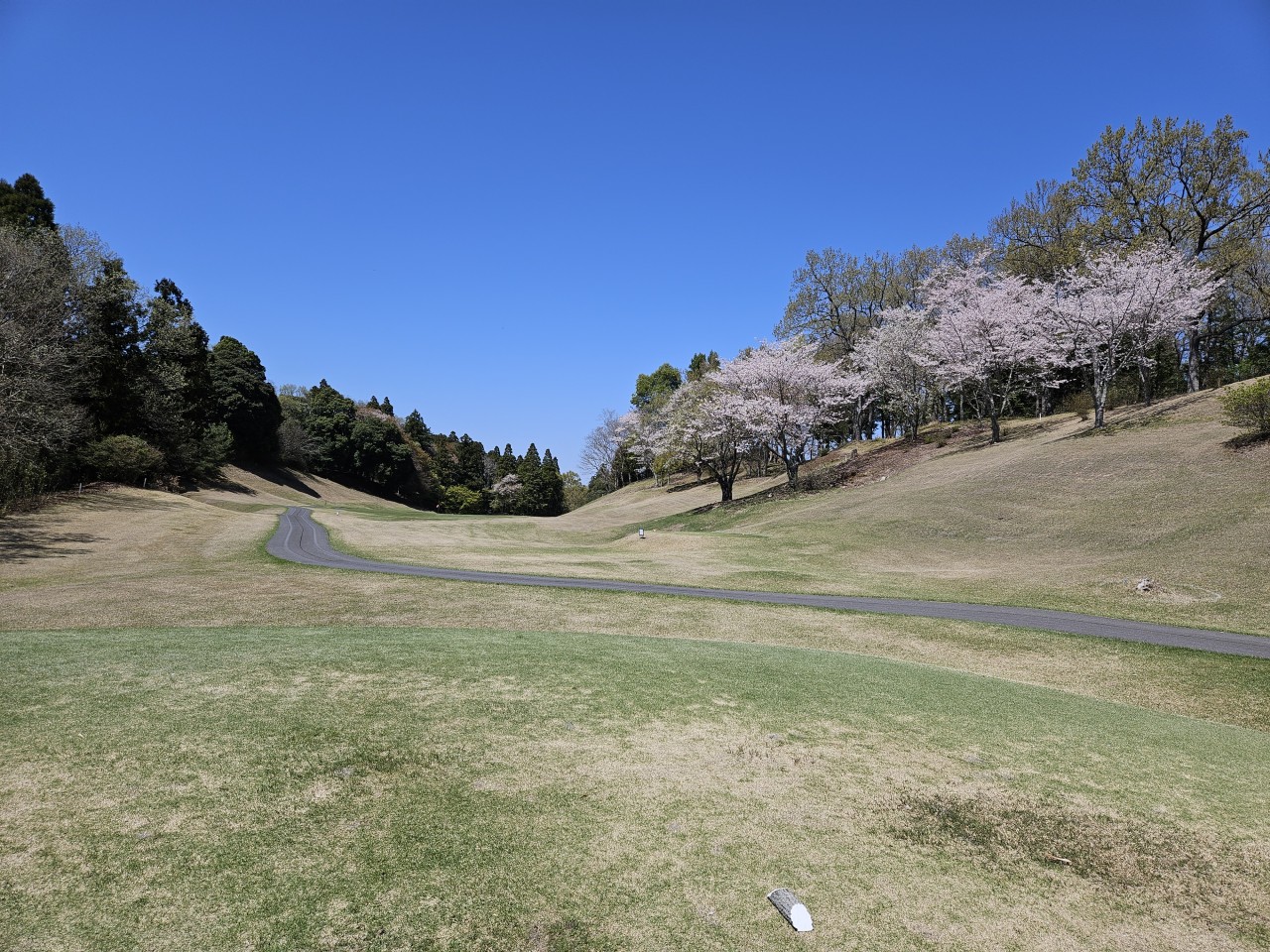 ⛳나리타 시내온천호텔 다색골프 ⛳