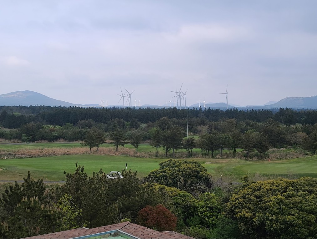⛳ 26년 8월 초특가로 떠나는 제주골프 2박3일