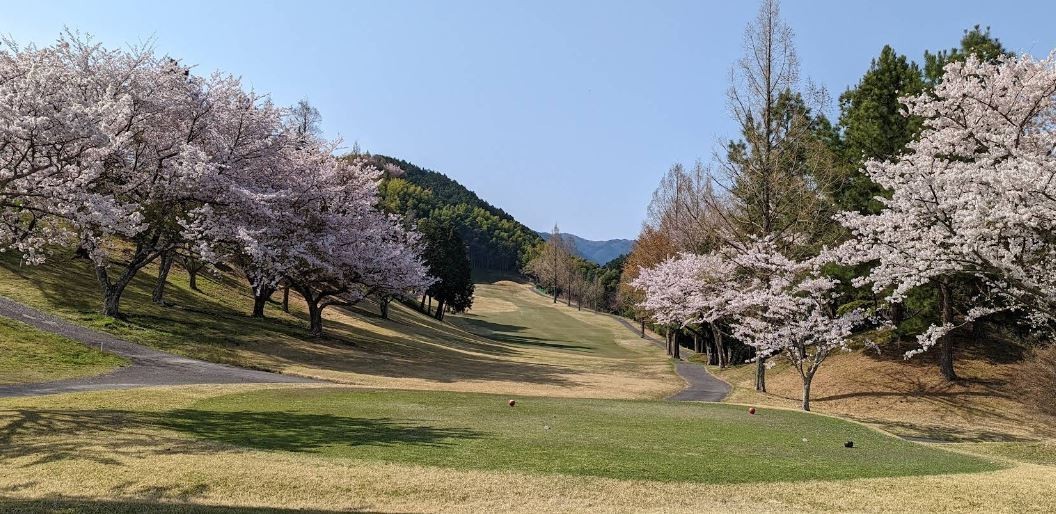 ⛳ 고베 시티호텔 명문 다색골프