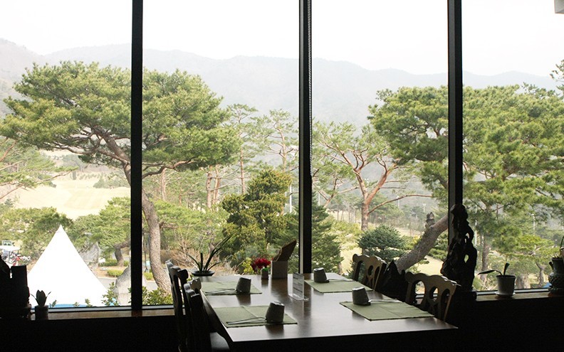 🌿 전남 보성CC 1박2일 36홀 특가 골프패키지 🌿