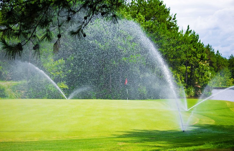 ⛳중국 명문 황산 무제한골프✨