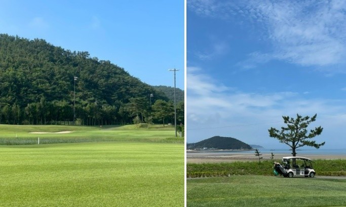 ⛳ 시원한 태안 스톤비치 26년 7~8월 1박 2일 야간 특가