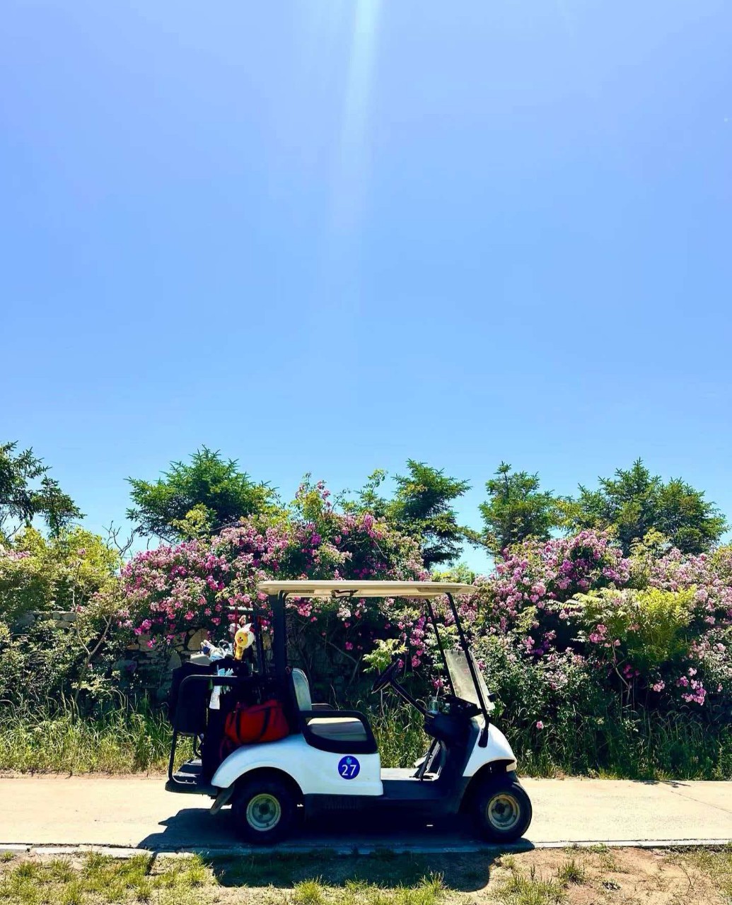 🏖 여름 골프는 역시 대련 장흥도!