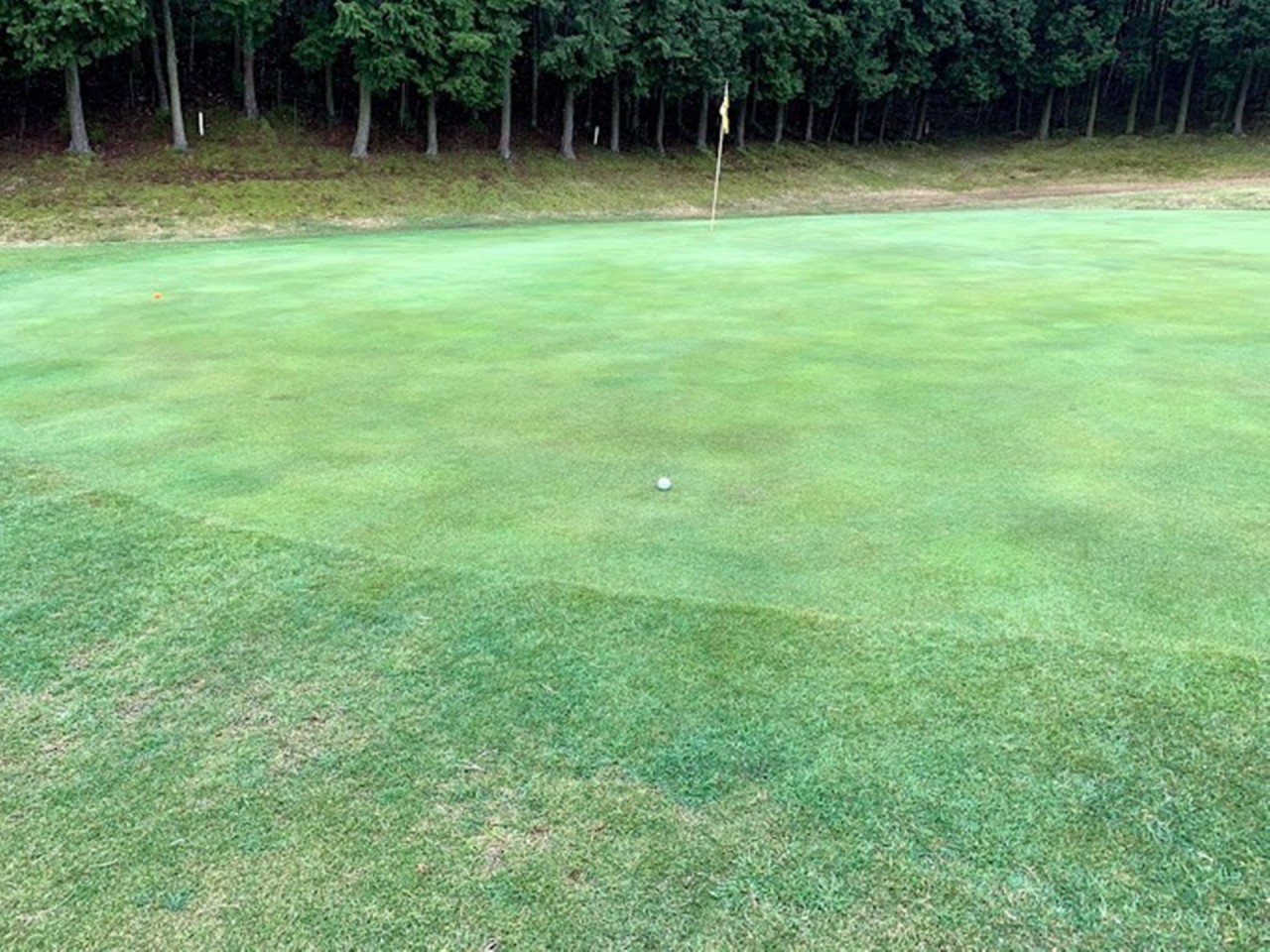 ⛳일본 큐슈 힐링 온천 호텔 골프 <한글날 연휴>