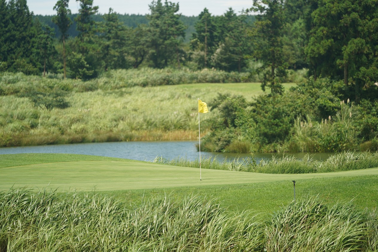 ⛳ 26년 8월 초특가로 떠나는 제주골프 2박3일