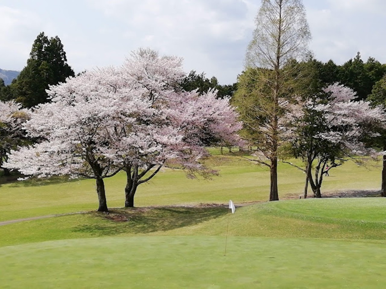 ⛳️[김해출발] 일본 후지산 럭셔리 골프 특가 <단2회>💕