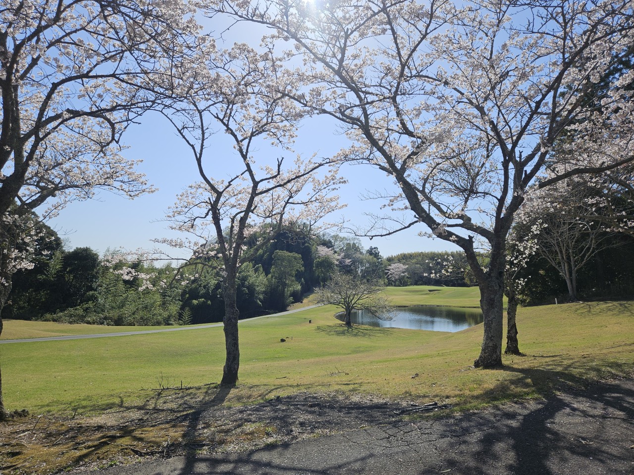 ⛳나리타 시내온천호텔 다색골프 ⛳