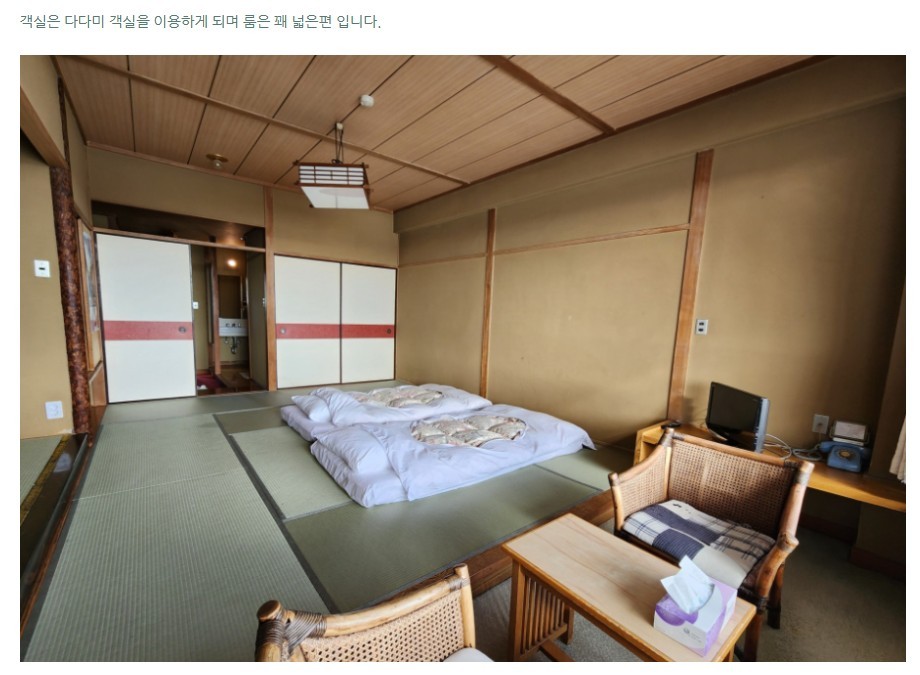🌸 [8월5회특가]일본 동경 이타코 3색골프🌸