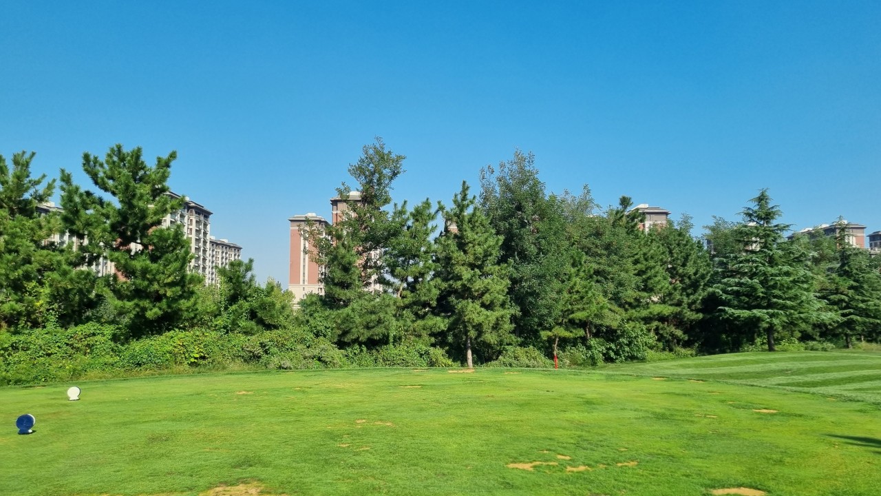 ⛳ 가까운 중국 연태 가성비 골프