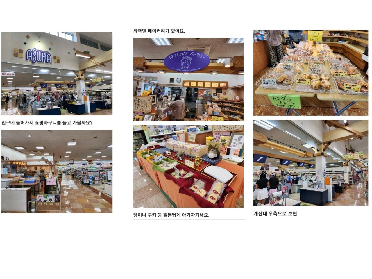 ⛳️일본 구마모토 아소스카이블루CC