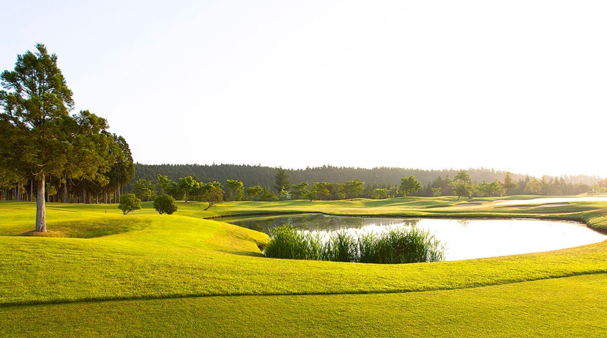 ⛳일본 명문 메이플라워 골프 <올포함>