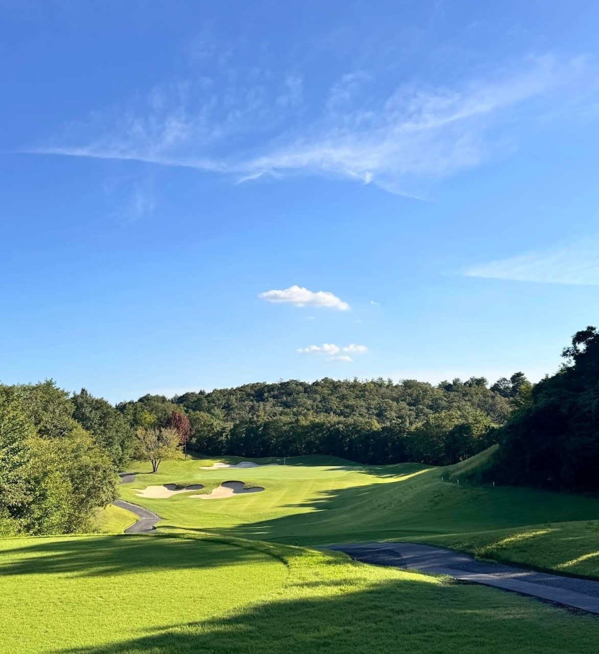 ⛳ 고베 시티호텔 명문 다색골프